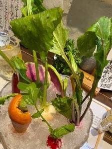 海鮮 鎌倉野菜 まつだ家 藤沢店