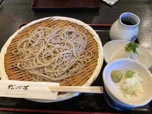 松の木