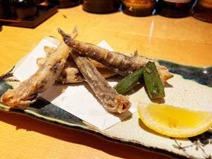 風虎