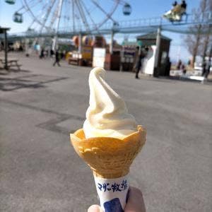 マザー牧場 WAKUWAKU