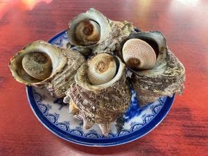 波戸岬サザエのつぼ焼き売店