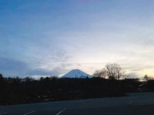 富島屋