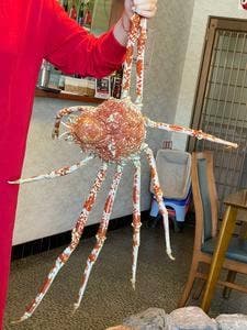 さかなや 魚清
