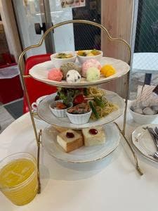 GOTOYA Dolce RACCONTO