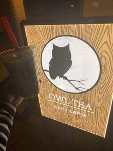 OWL TEA 明大前店