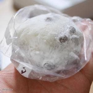 瑞穂