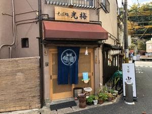 光梅
