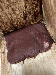 圓八 名鉄エムザ