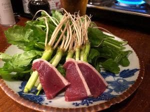 侘び助