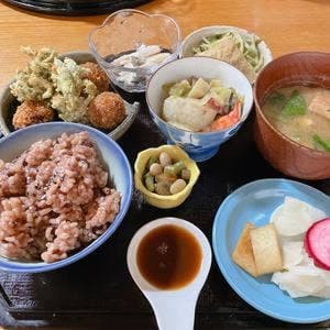 おからはうす