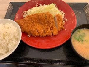 かつや 愛知知立店