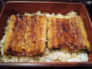 滋養料理 山法師