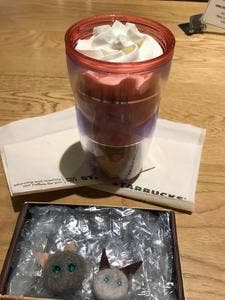 スターバックス コーヒー パルコヤ上野店