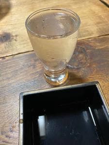 木の根