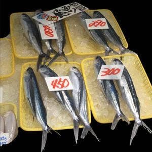 庄内観光物産館 おさかな市場