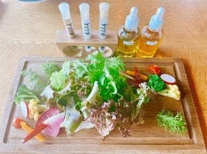 イタル