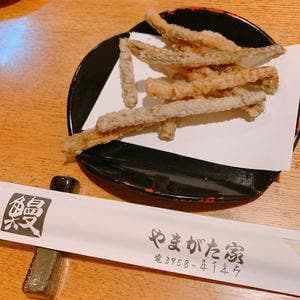 やまがた家