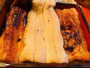 活うなぎ 橋本