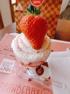 STRAWBERRY HUNTING neo