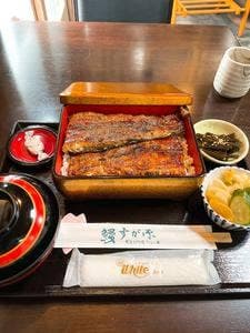 すが原