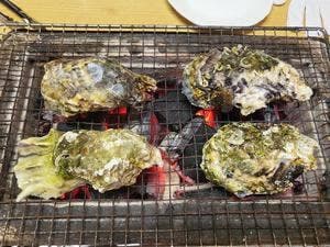 きん太郎