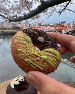Spica Doughnuts