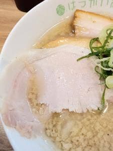 はつがい麻婆豆腐店