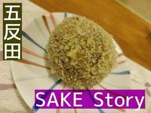 SAKE story