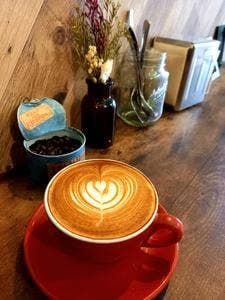 SUNNY DROP