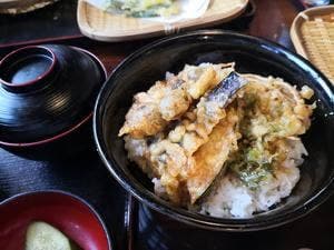 更科