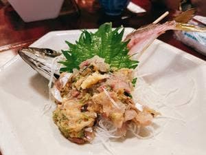 たぬき