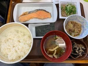 すき家 17号上里店