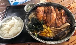 手打ラーメンぎおん