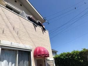 ちっぷ