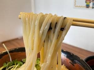 こしまるうどん