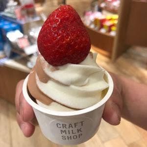 CRAFT MILK SHOP 阪急うめだ本店