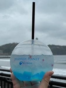 オーシャンカフェ 新江ノ島水族館