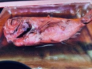 漁師寿し 網元武田丸