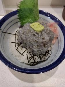 渡舟