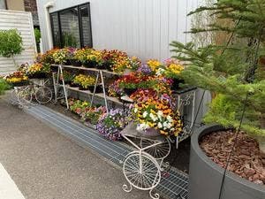 FOOD&FLOWER Fun!