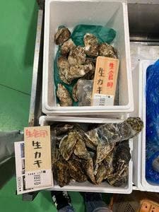 立喰いすしさくだ屋