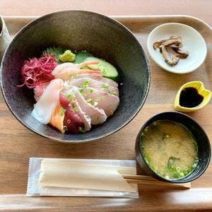 道の駅 根占