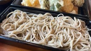 蕎邑