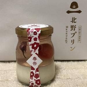 北野プリン Harutsuge