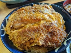丸岡うどん