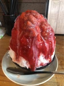 まめ茶和ん