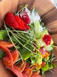 GRAND CHARIOT TERRACE