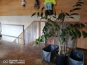 LOCO WORKS COFFEE