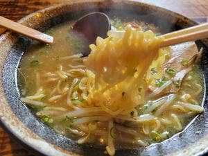 てんとうむし