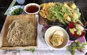 こま草